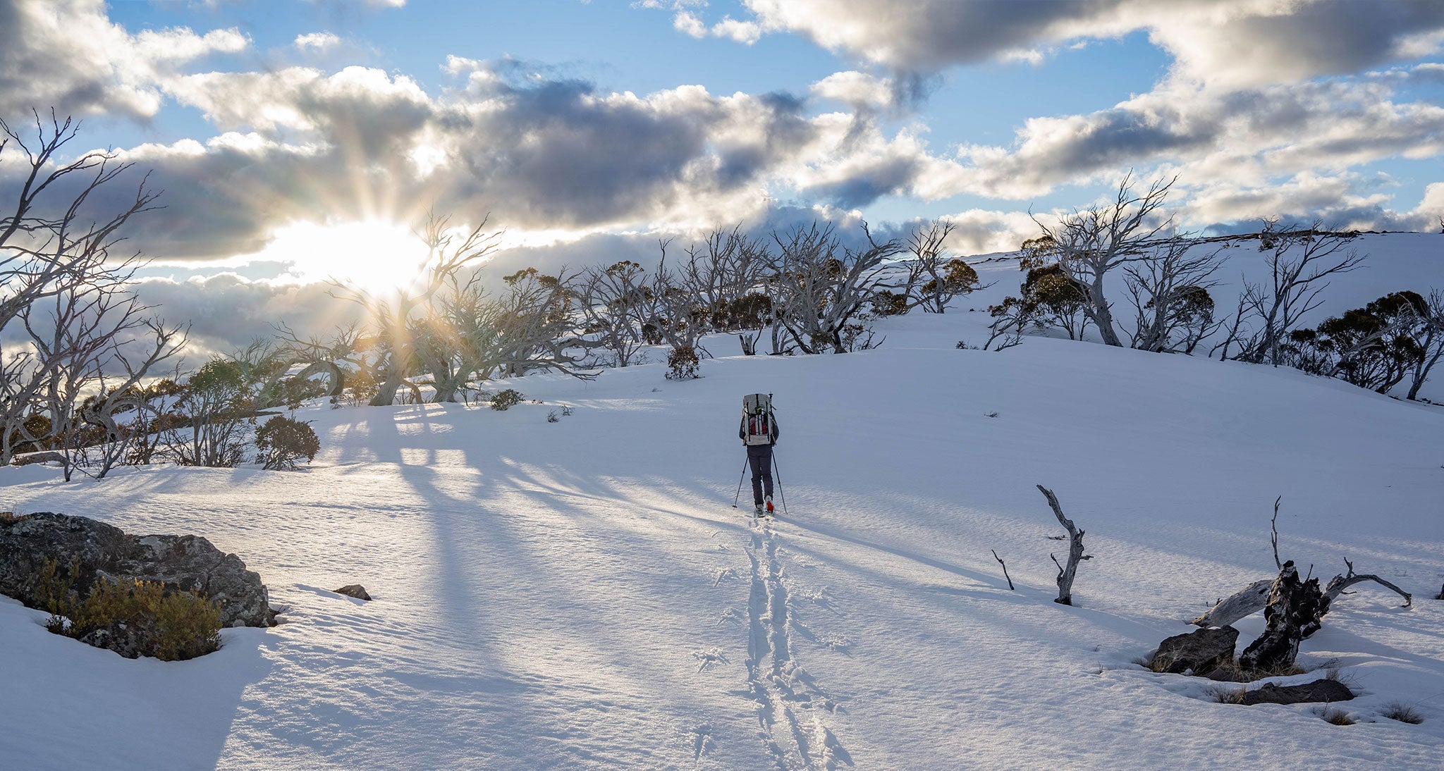 hikers in the Australian Alps